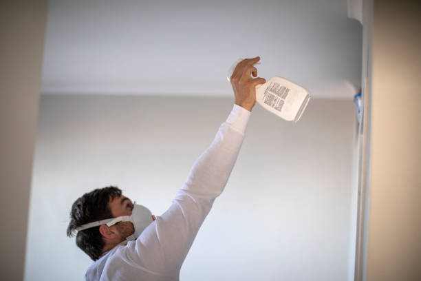 Best Residential Mold Removal  in Cross City, FL
