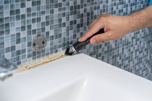 Best Affordable Mold Removal  in Cross City, FL