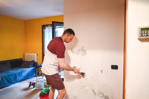 Best Professional Mold Removal  in Cross City, FL